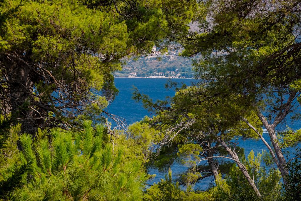 Apartment Dora Cavtat Kültér fotó